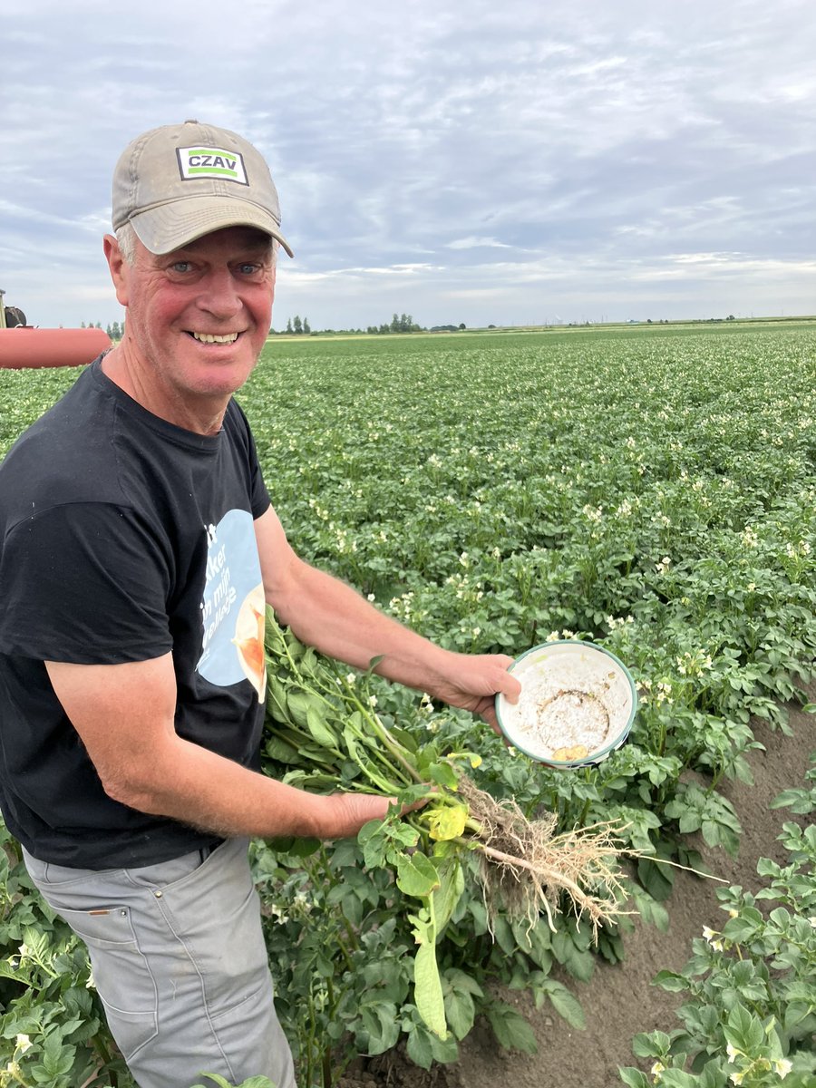 Zorgelijke eerste proefoogst maar we blijven lachen 🤪 #aardappelmarkt2023