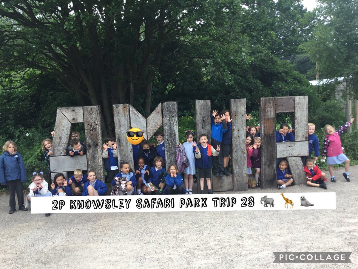 st_michaels_ham's tweet photo. Wow what a fantastic trip 2P had today at @KnowsleySafari 🐘🦒🦭 A big thank you to Ann for the brilliant Savannah Safari school workshop we learnt lots of new facts including a dazzle is the name for a group of zebras!! 🦓 #SMITHY2 #SMITHROCKS https://t.co/FccIKe5SNW