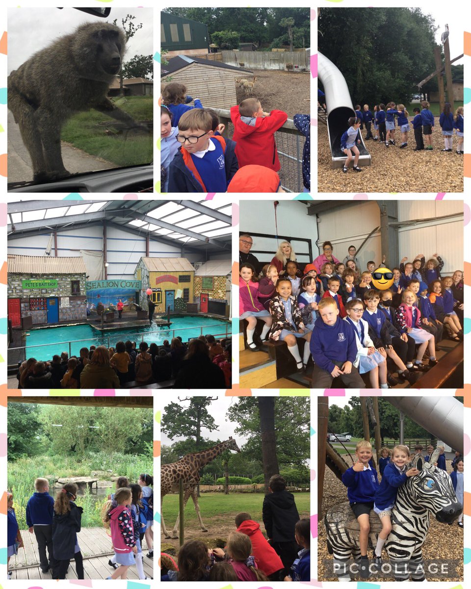 st_michaels_ham's tweet photo. Wow what a fantastic trip 2P had today at @KnowsleySafari 🐘🦒🦭 A big thank you to Ann for the brilliant Savannah Safari school workshop we learnt lots of new facts including a dazzle is the name for a group of zebras!! 🦓 #SMITHY2 #SMITHROCKS https://t.co/FccIKe5SNW