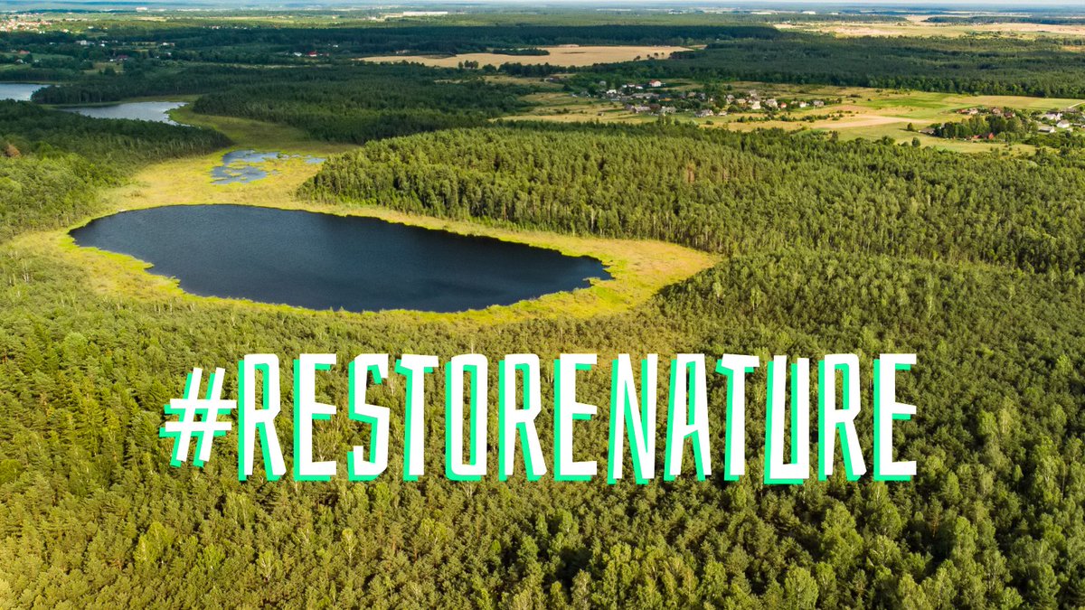 Wetlands International Europe tweet media