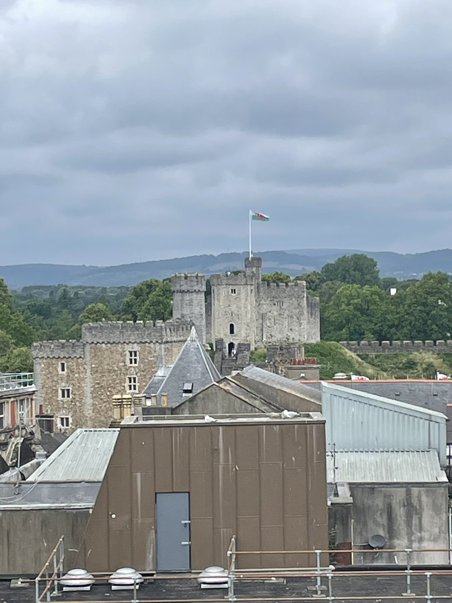 LiamAnstey's tweet photo. The view from a test centre today. Well done to everyone who completed @TheGPhC registration assessment today! https://t.co/hin7uufnO9