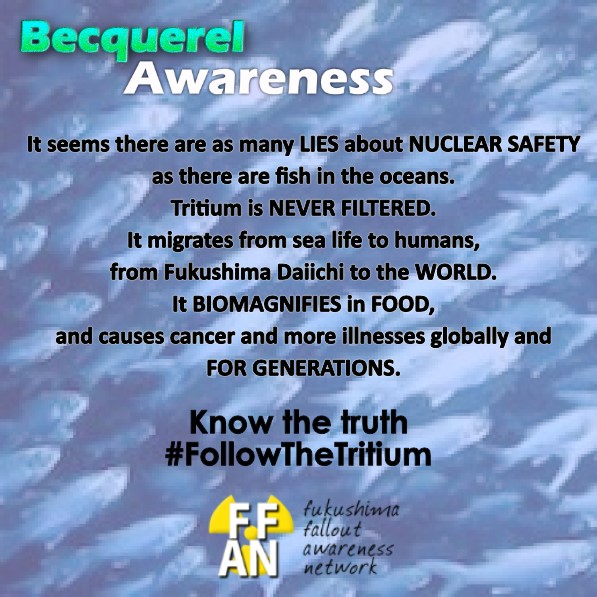 ffan4u's tweet photo. Just give us the truth already! There's #NoSafeDose of #tritium when ingested, dilution is NOT a solution. Even more harmful radiation will escape faulty filtration #FollowTheTritium to #bioconcentration in #seafood. #RenewableEnergy #NoTimeToWaste
https://t.co/XWwKFGLzA7 https://t.co/onP0GwCnr4