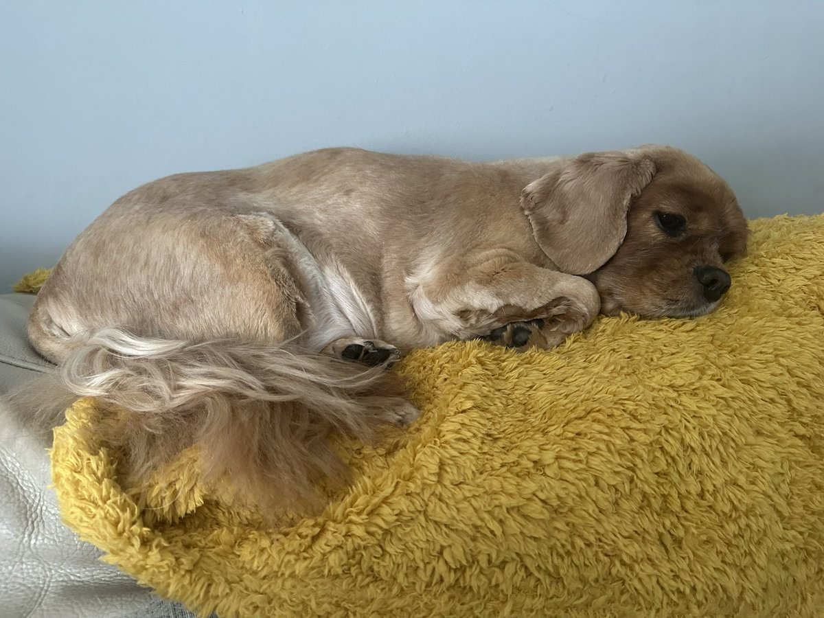 Aimee🌷 tweet media