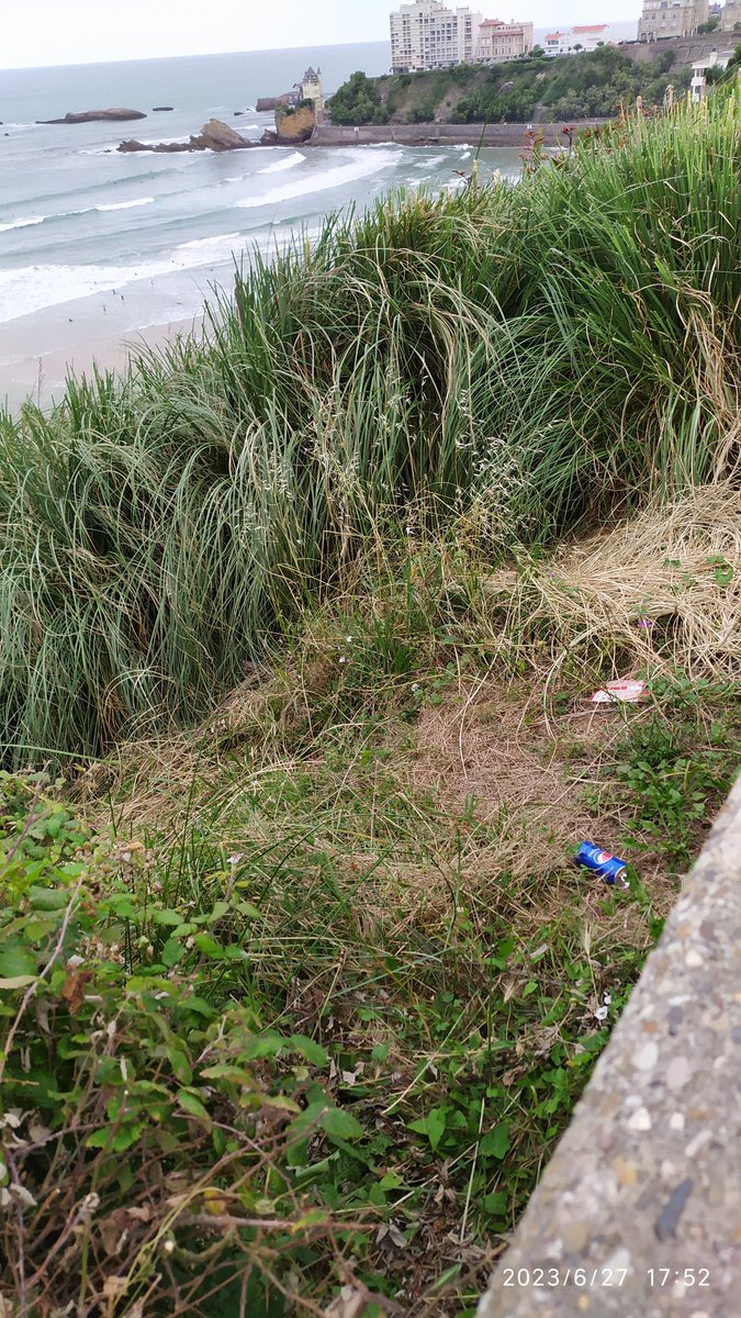piconlemovice's tweet image. #biarritz ce mardi en fin d'après-midi, on voit quoi ? 
Des canettes touristiques @Ville2Biarritz 
Désolé  mais avec allô mme la maire, j'ai du mal. #cotedesbasque #paysbasque #ete #vacances #surf #poubelle #Pepsi #coca