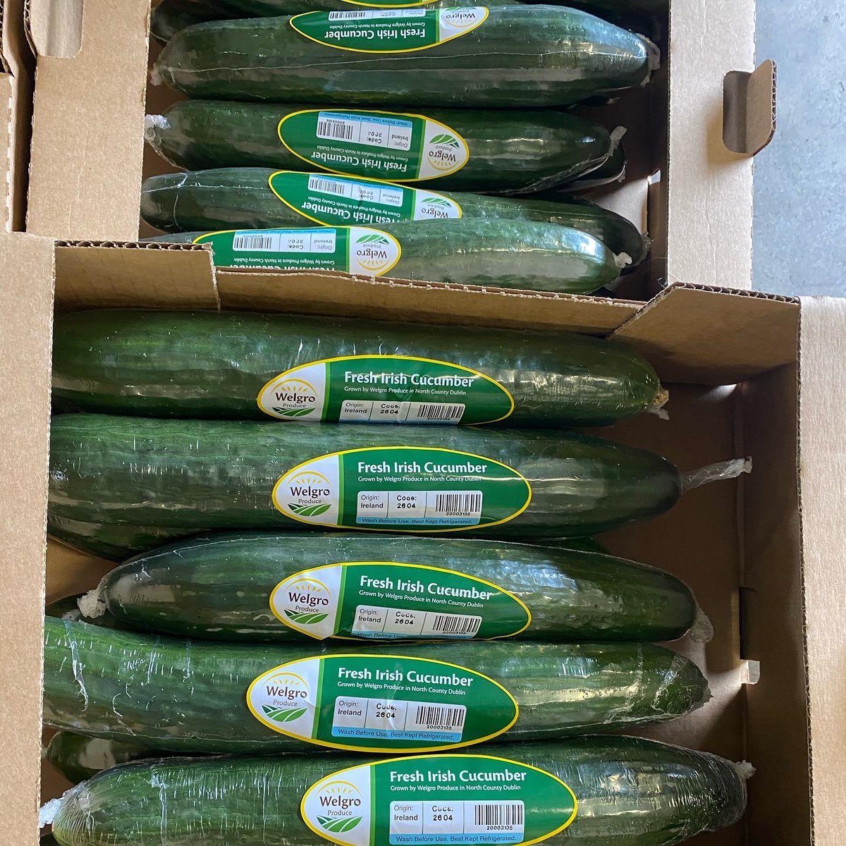 Picked, packed and delivered! You can’t get fresher than a Welgro Irish Cucumber! #Cucumber #WelgroProduce #Irishfood #salad #fresh