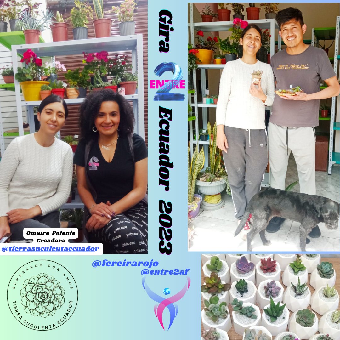 fereirarojo's tweet photo. Con "Tierra Suculenta Ecuador" cerramos la programación de junio en la Gira Entre 2 Ecuador 2023" #gracias #Pendientes #girajulio https://t.co/eUcBulqC4J