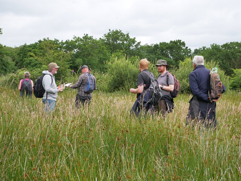 Flora Conservation UK on Twitter: 