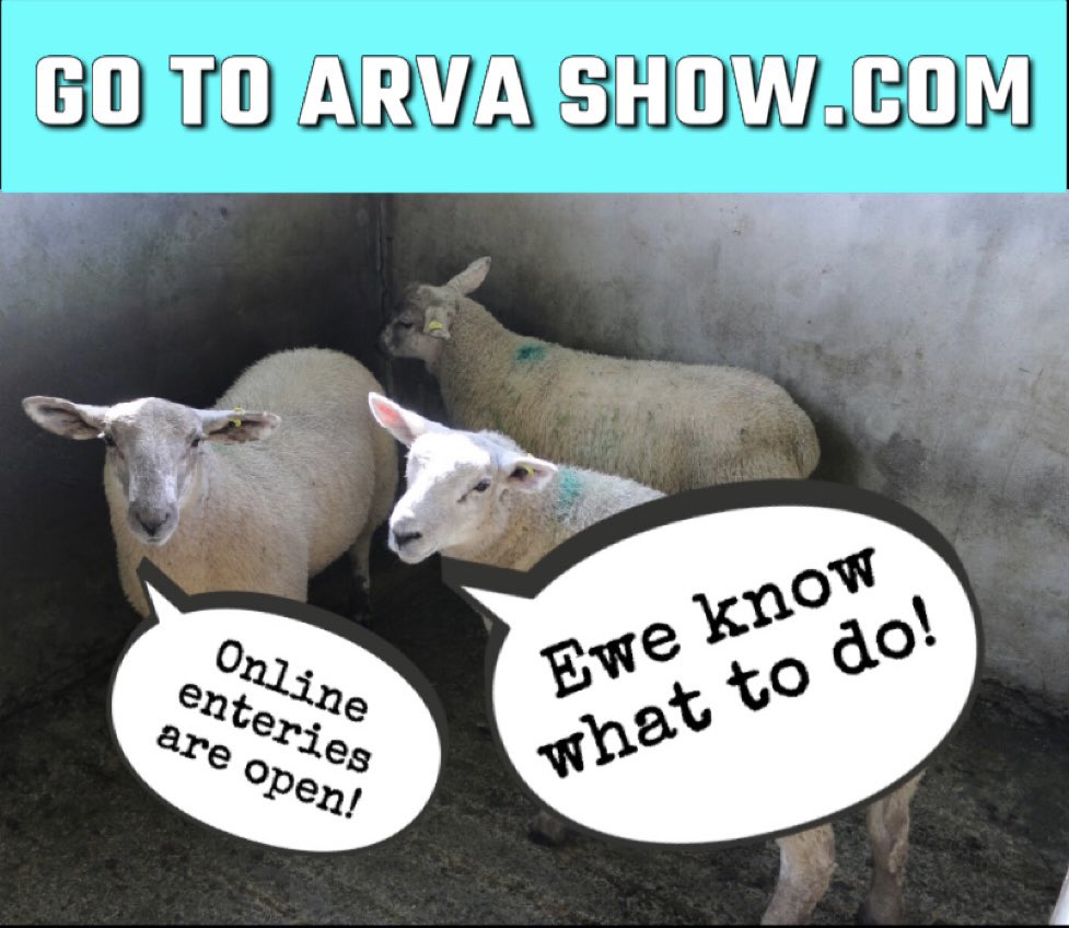 Arva Show tweet media