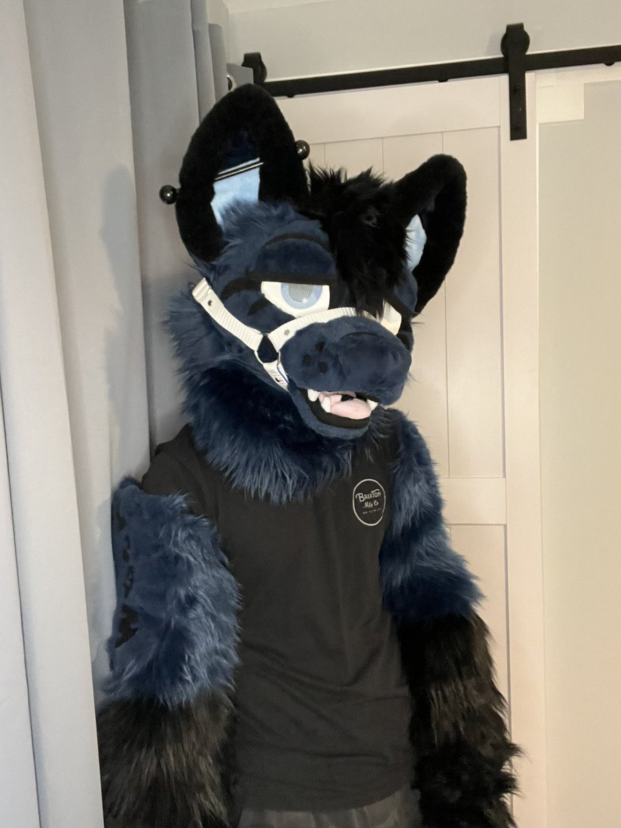 How to find me at #anthrocon2023 come say hii, I don’t bite 💙