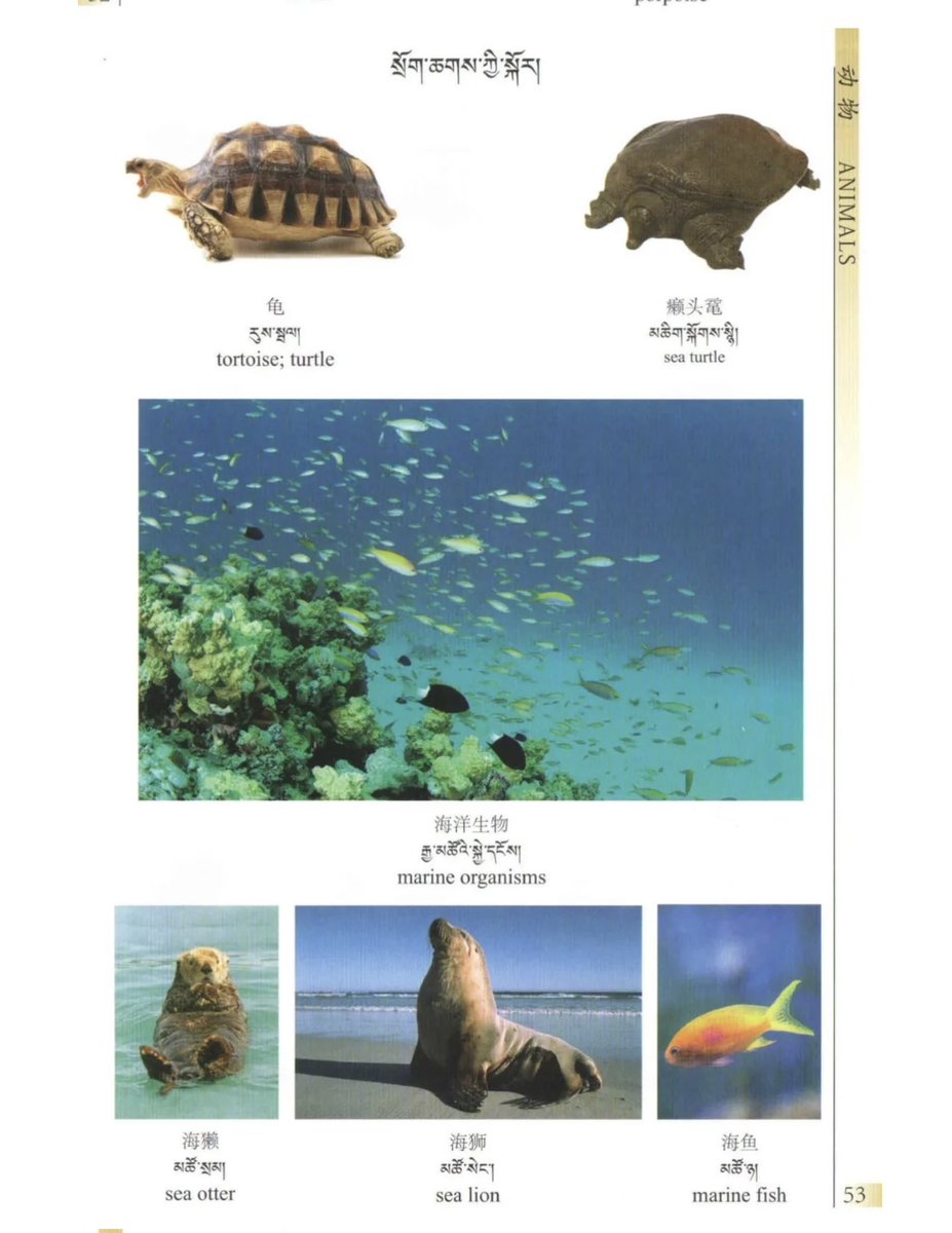 Jay40777372's tweet photo. སྲོག་ཆགས་ཀྱི་སྐོར། སོ་གཅིག་པ།
ཐ་སྙད་གསར་བའི་ཚིག་མཛོད་ཀུ་ཤུའི་ནང་དུ་འདི་ནས་ཕབ་ལེན་ཐུབ།
https://t.co/lcxIYAqkPv https://t.co/4lDyxa9cW4