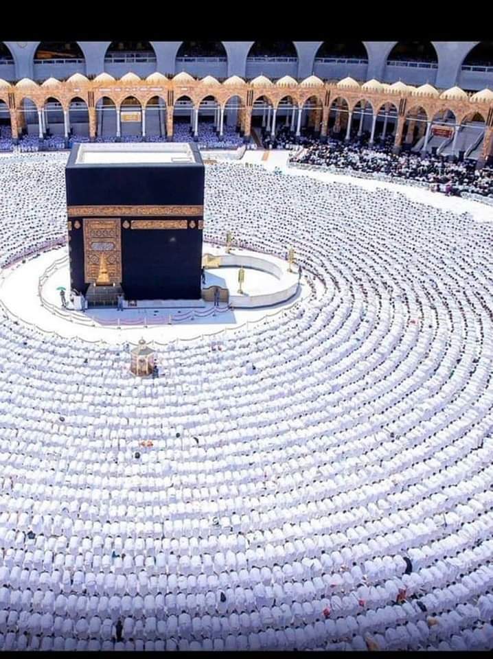 عشق کا بس ایک ہی وِرد۔۔۔ پروانہ وار محبوب کے گِرد۔۔۔ ❤️