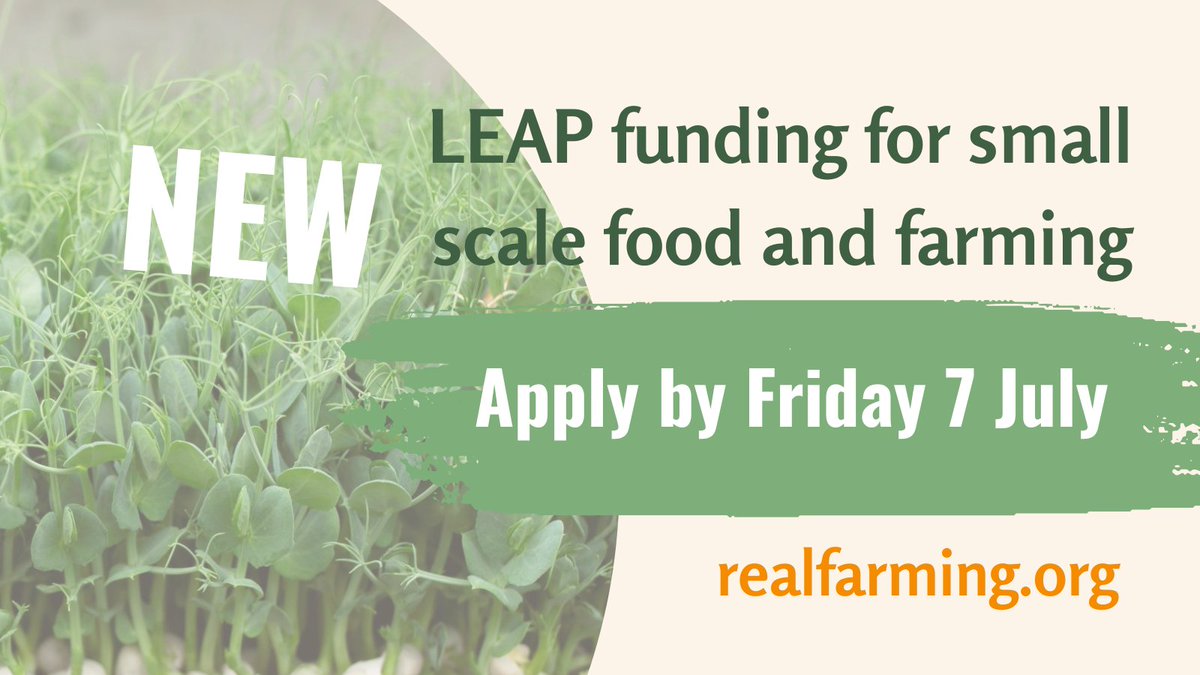 NEW funding for small scale food and farming 🙂APPLY BY 7 JULY🙂 We have launched the next phase of @LEAProgramme funding with £1.5 million available to support UK agroecological & community food businesses. Please register your interest as soon as poss! realfarming.org/programmes/lea…