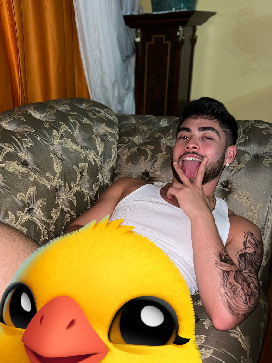 Gus on Twitter: "https://onlyfans.com/dancekangaroo"