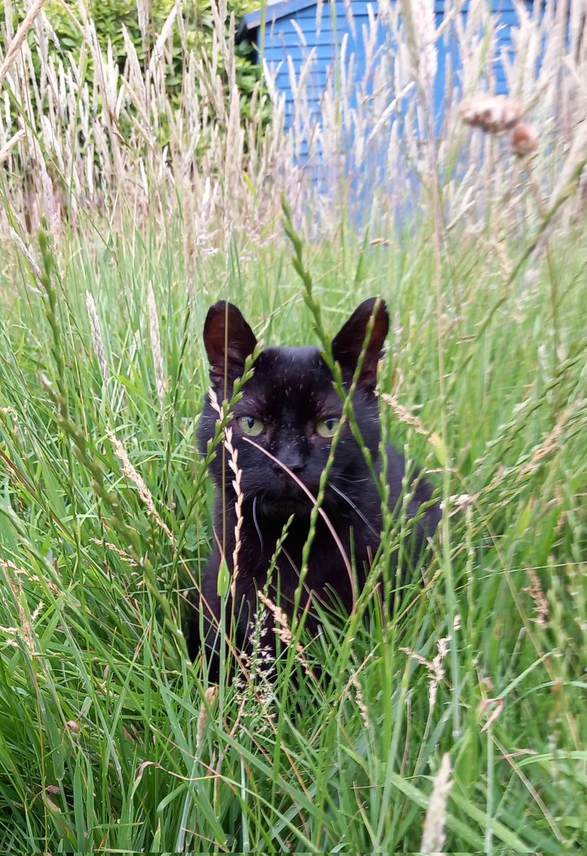 Revd Kevin J Wright 🇺🇦🇪🇺 tweet media