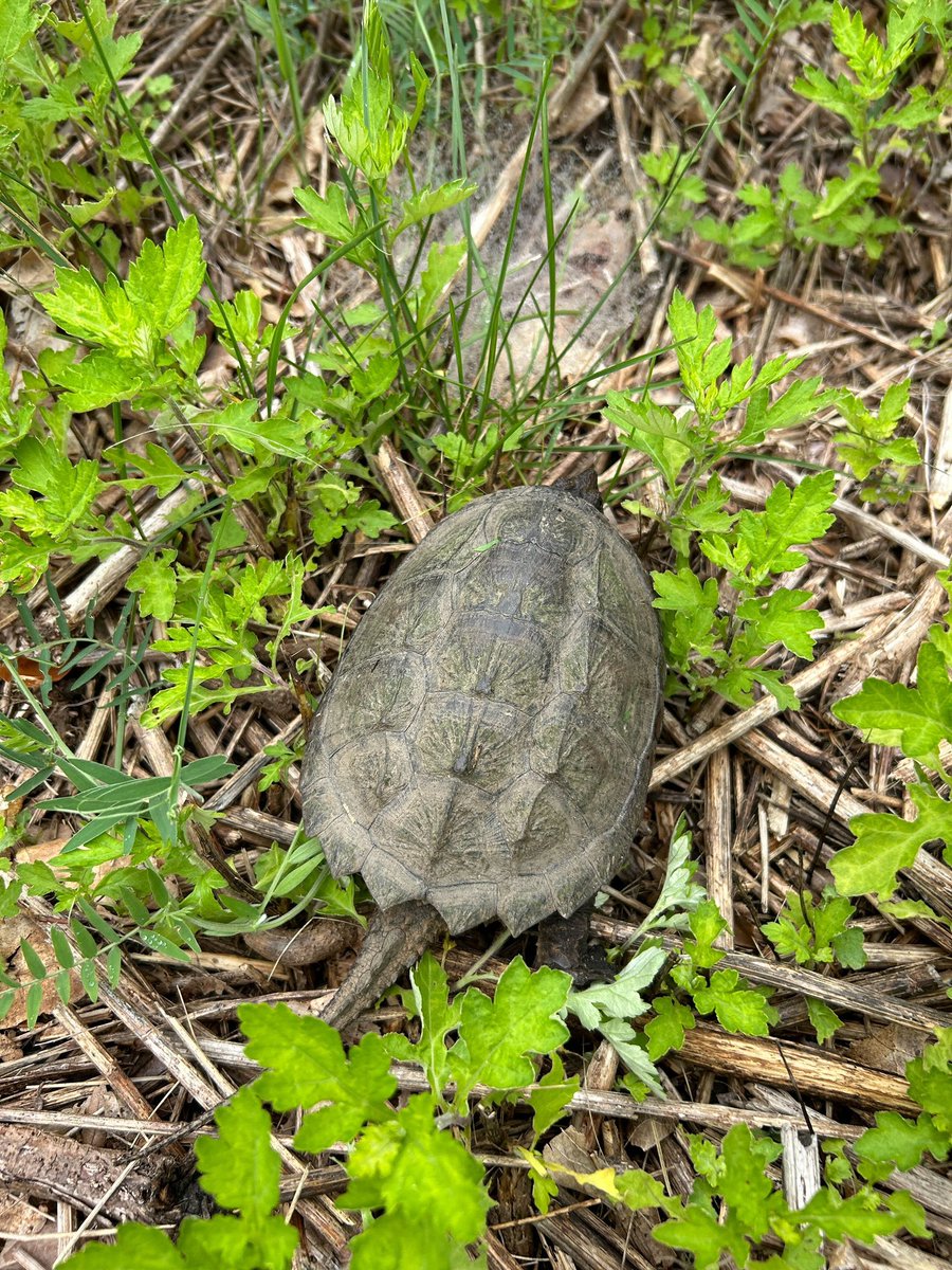 ParasiteSquad tweet media