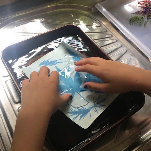 MudandBloom's tweet photo. 🌿☀️Making sun prints is a great outdoor art activity to do with children over summer. The process is fascinating and there’s lot to learn about the sun and shadows. The end result is also very beautiful!
👉🏼https://t.co/bDObFcJJLy
#outdoorlearning #sunprints #mudandbloom #eyfs https://t.co/tBNZwL2EyT