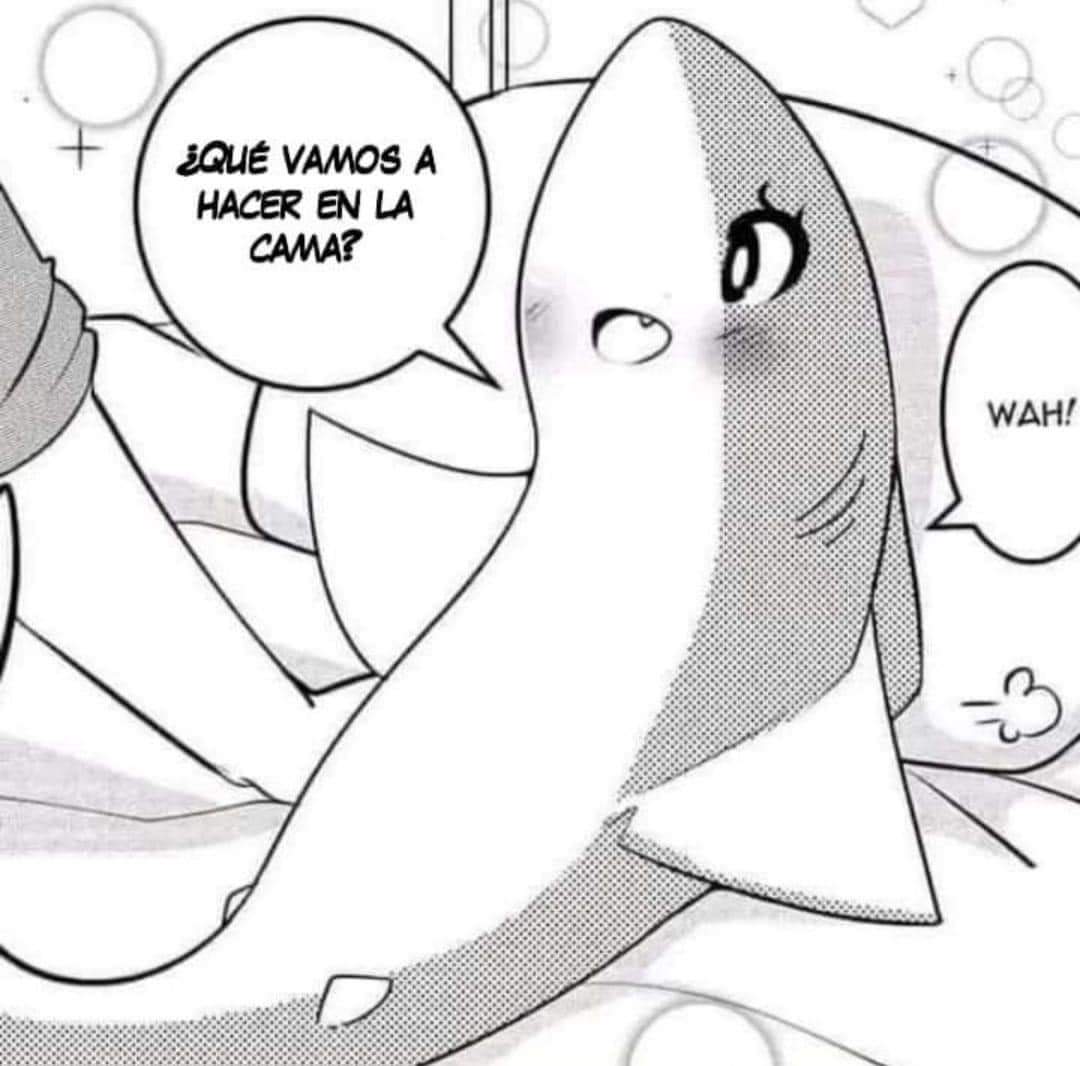 Maestro Pokémon tweet media