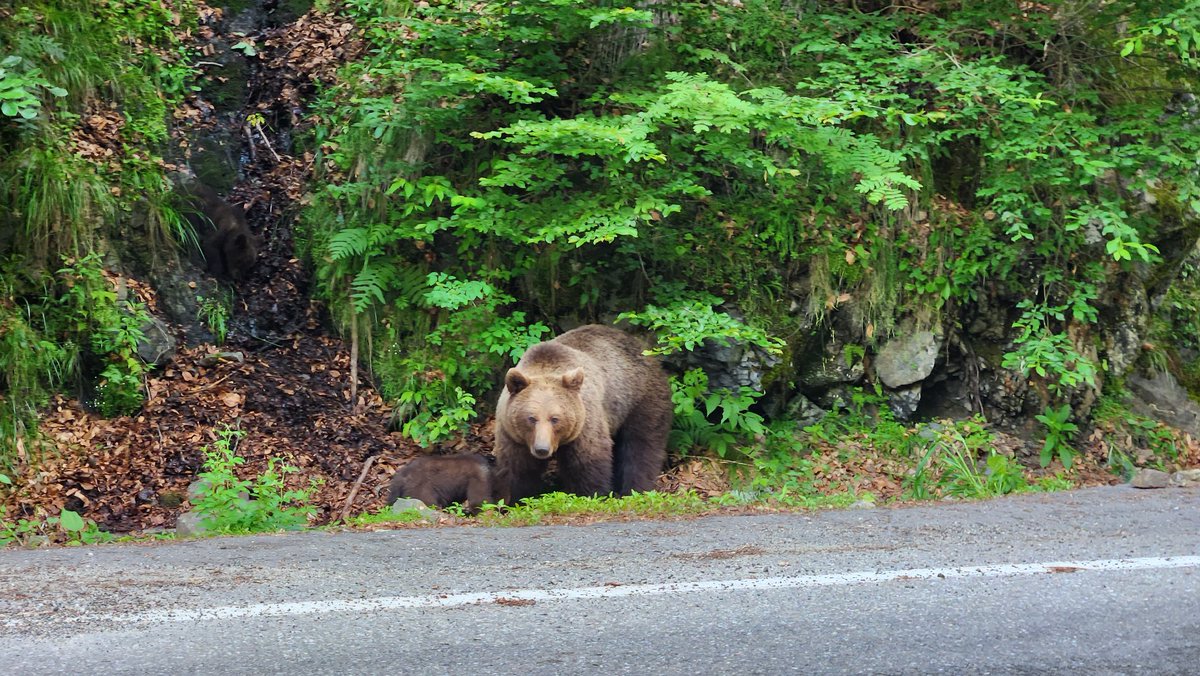 powerofphysics tweet media