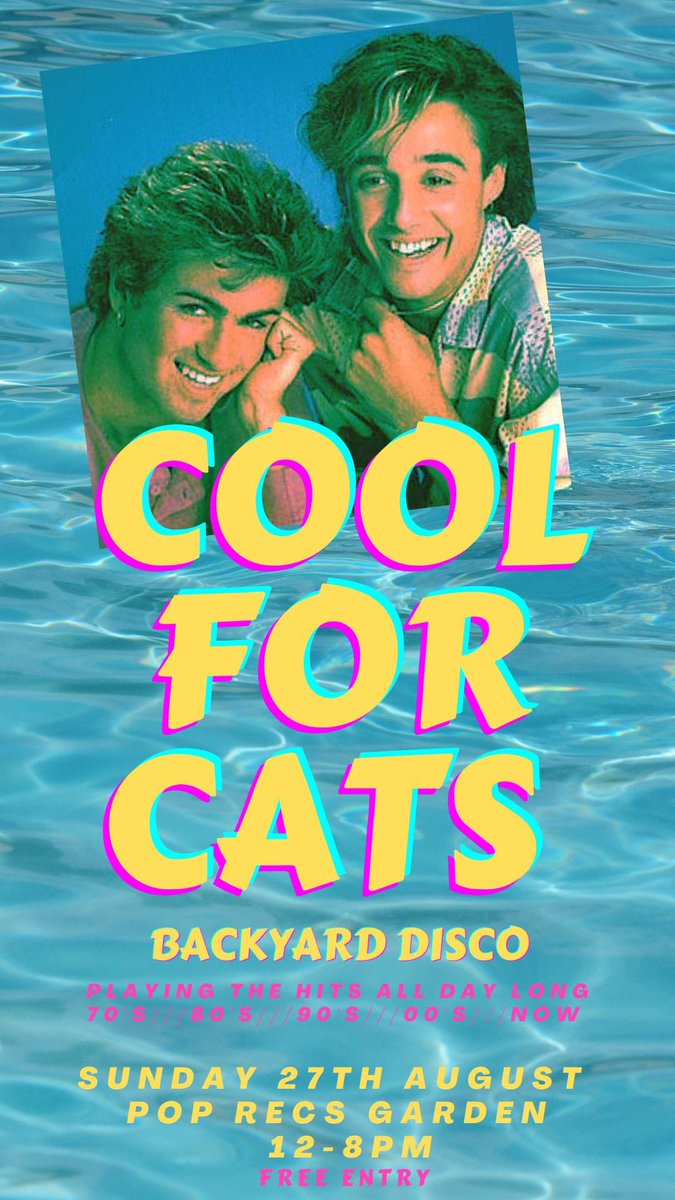 COOL FOR CATS (@cool_4_cats) on Twitter photo 