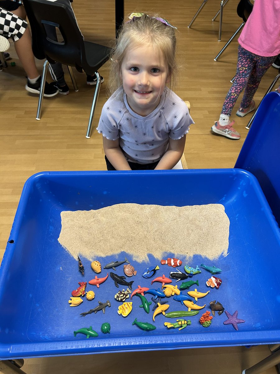 Mrs. Morassutti tweet media