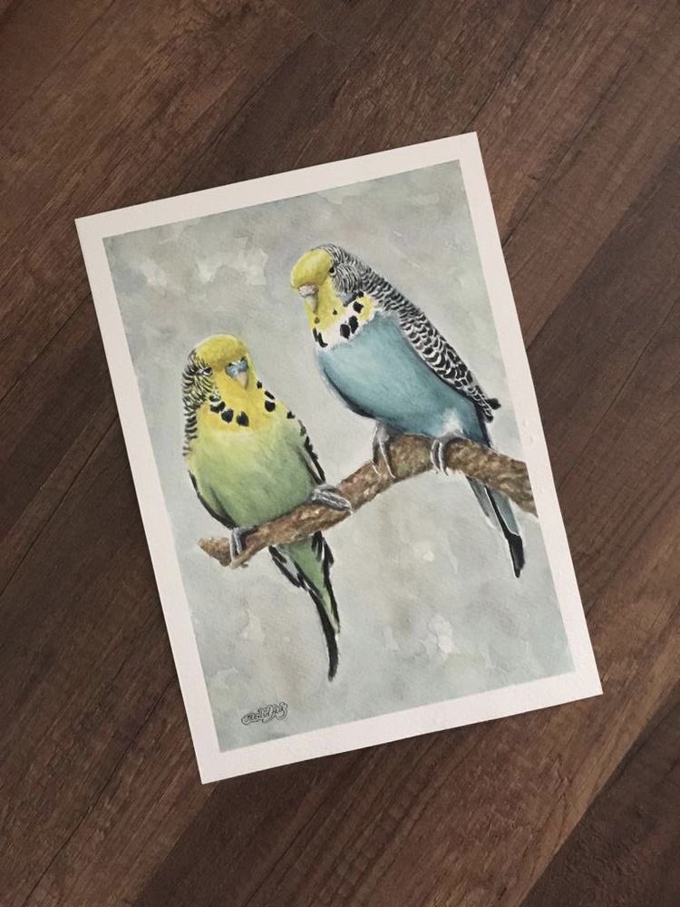 Suluboya Çalışmam 🐦 
“Muhabbet Kuşları”
25x35 cm 300 gr/m2 Kağıt

#watercolor #art #artist #artwork #arte #artofinstagram #suluboya #design #watercolorpainting #watercolour #artgallery #pictureoftheday #picture #muhabbet #kuş #trafik #bird #kuşlar