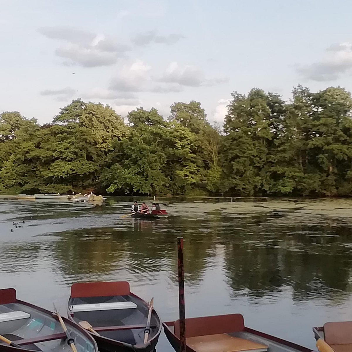 BKobusingye's tweet image. #refreshingwalk