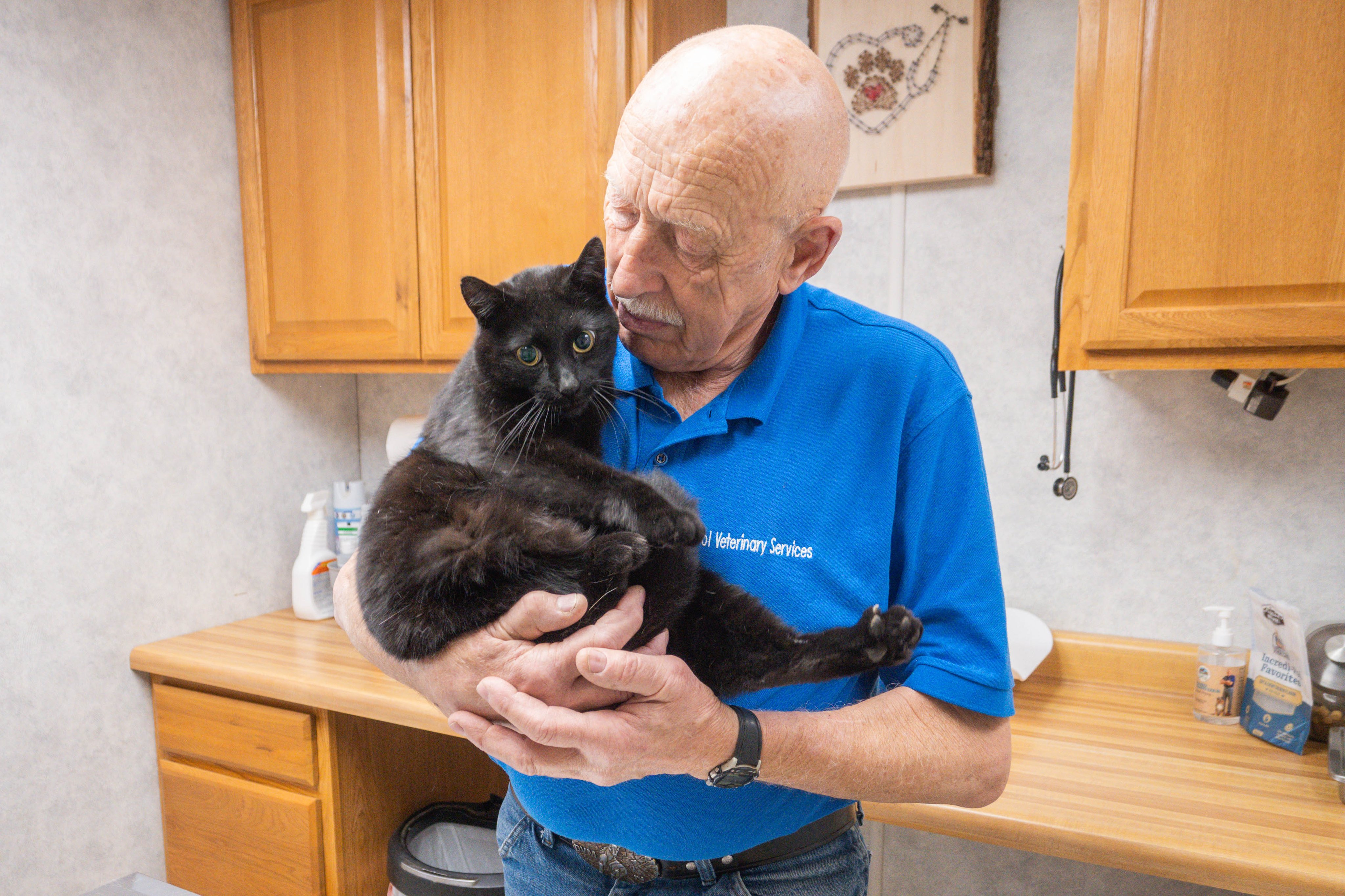 グランドレイド♖⛐♖ ֎🩻 on Twitter "ナショナルジオグラフィック CS343/Dr.ポール スゴ腕どうぶつドクター 7/1