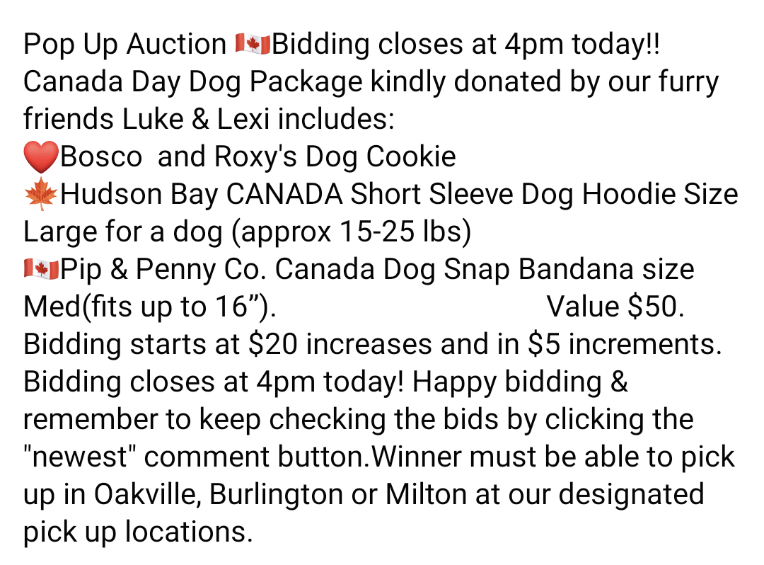 🐾Pop up Auction🐾 Click the pic for more details. #Fundraiser #fundraising #dogs #RESCUEISMYFAVORITEBREED #RescueDogs #auction #Canada #CanadaDay Click here to place your bid: m.facebook.com/story.php?stor…