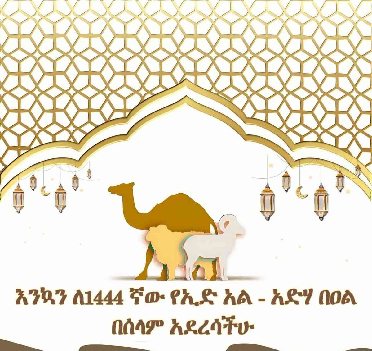 BuruleAbdu's tweet photo. እንኳን ለ1444ኛው የኢድ -አልአድሐ አረፋ በዓል በሰላም አደረሳችሁ! https://t.co/1WRu6Ouojr