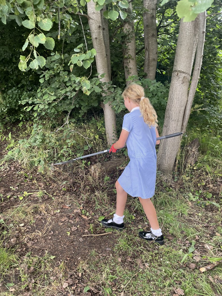 venedwardmorgan's tweet photo. Yr 5&amp;6 Tree planting and clearing areas in gardening club last night. Everyone did a fantastic job. Da Iawn pawb 🙌🌲🌱🐛🪵 #gardeningclub #beingoutdoors #treeplanting #thinkenvironment #outdoorlearning #nativetrees https://t.co/FYNvcC4HNB