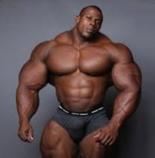 WhyCallicus's tweet image. 