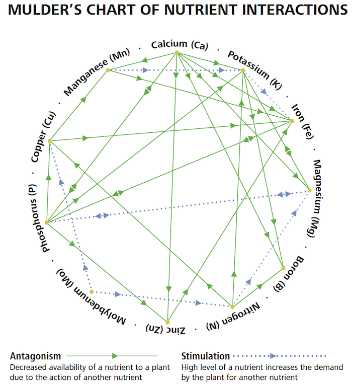 CalAgSolutions's tweet photo. Plant nutrient interactions are complex. Our team & systems approach to #cropnutrition take the guesswork out while increasing #soilbiology.
#soilhealth #POWER2GRO #SystemsThinking #NextRightStep #regenerativefarming #MulderChart #Antagonism #Stimulation
📸: @NoTillFarmr https://t.co/VY9rgq3xOi