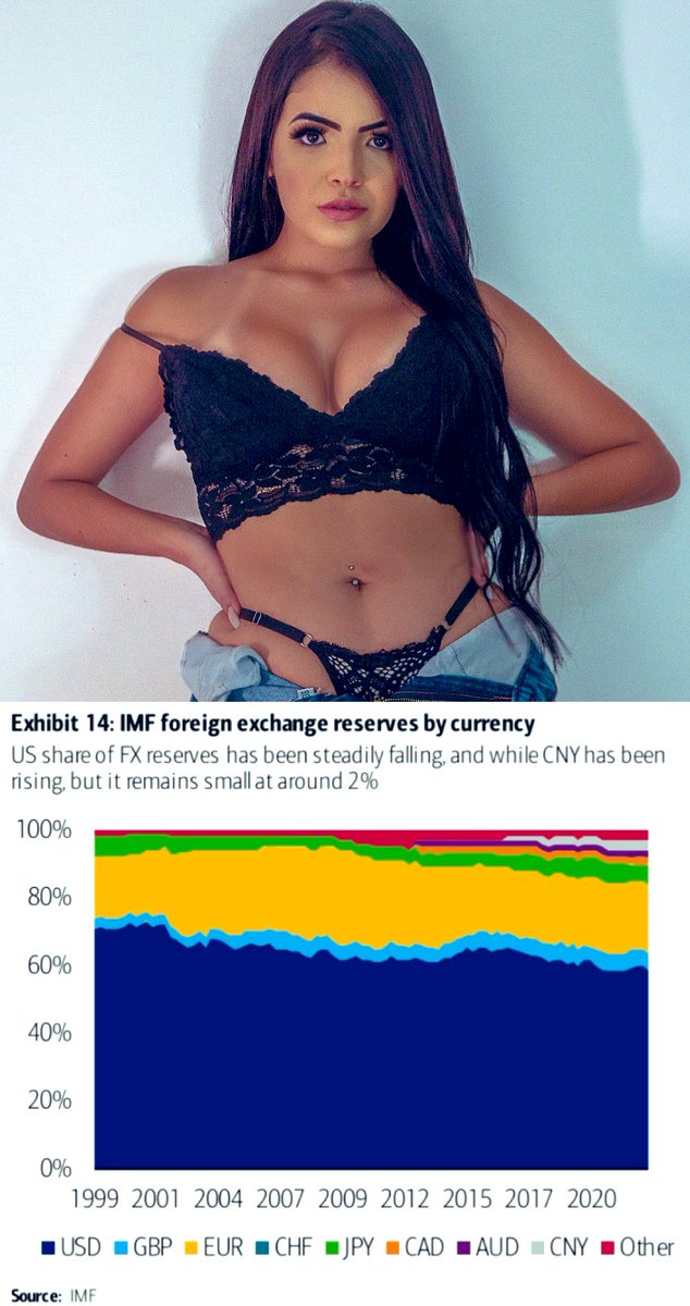 Foreign exchange reserves by currency…
#globalfinance #currencies 
#BullionandBoobs ✨🪙💋