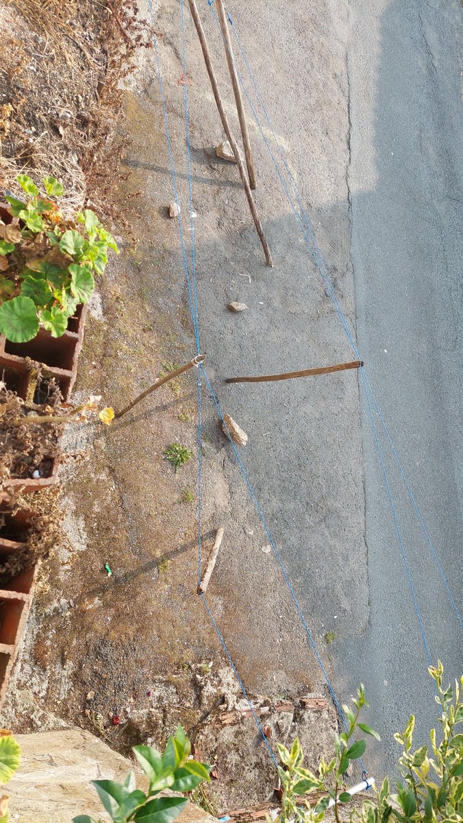 luxyloki's tweet photo. @Policia_Coruna en rua o canedo. Ponen piedras y palos para guardar el sitio para aparcar. Si intentas aparcar... salen gritando a decir que no se puede aparcar alli. https://t.co/hBhQe1VYJH
