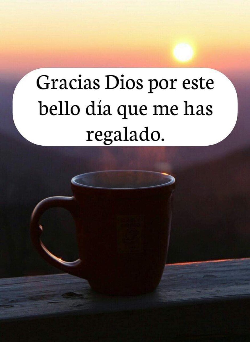 Ines Sanchez (@inessan80987439) on Twitter photo 