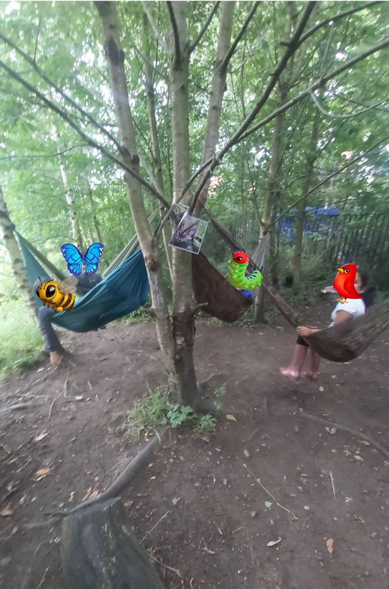 Forestschoolmvps tweet media