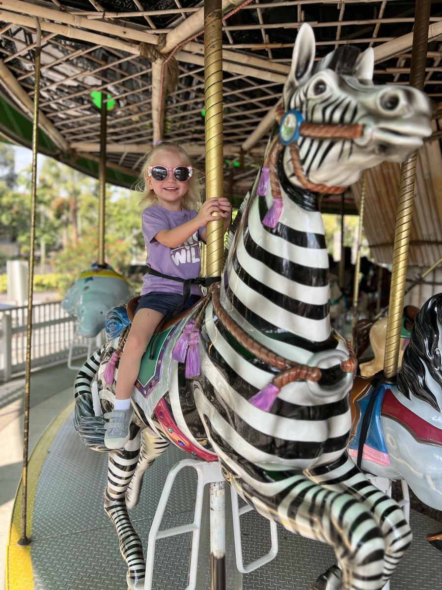 K_FarrellAuthor's tweet photo. When the intro of your book has to change because of inspiration at the Tampa Lowery Park Zoo and the wild little girl your love to pieces #AmeliaRose #amwriting #WritingCommunity #mgfiction https://t.co/k7CBXBedup