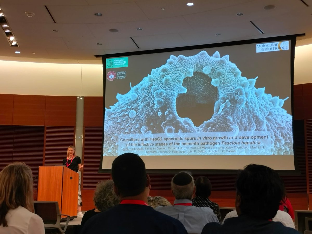 MPL_UniOfGalway's tweet image. @CDeMVerissimo and @AisteVit doing a stellar job at their talks at #MolHelm23!👏👏👏we are very happy to share a little bit of our hard work with the world of parasitologists @MPL_UniOfGalway @STEM_Galway @Morgridge_Inst