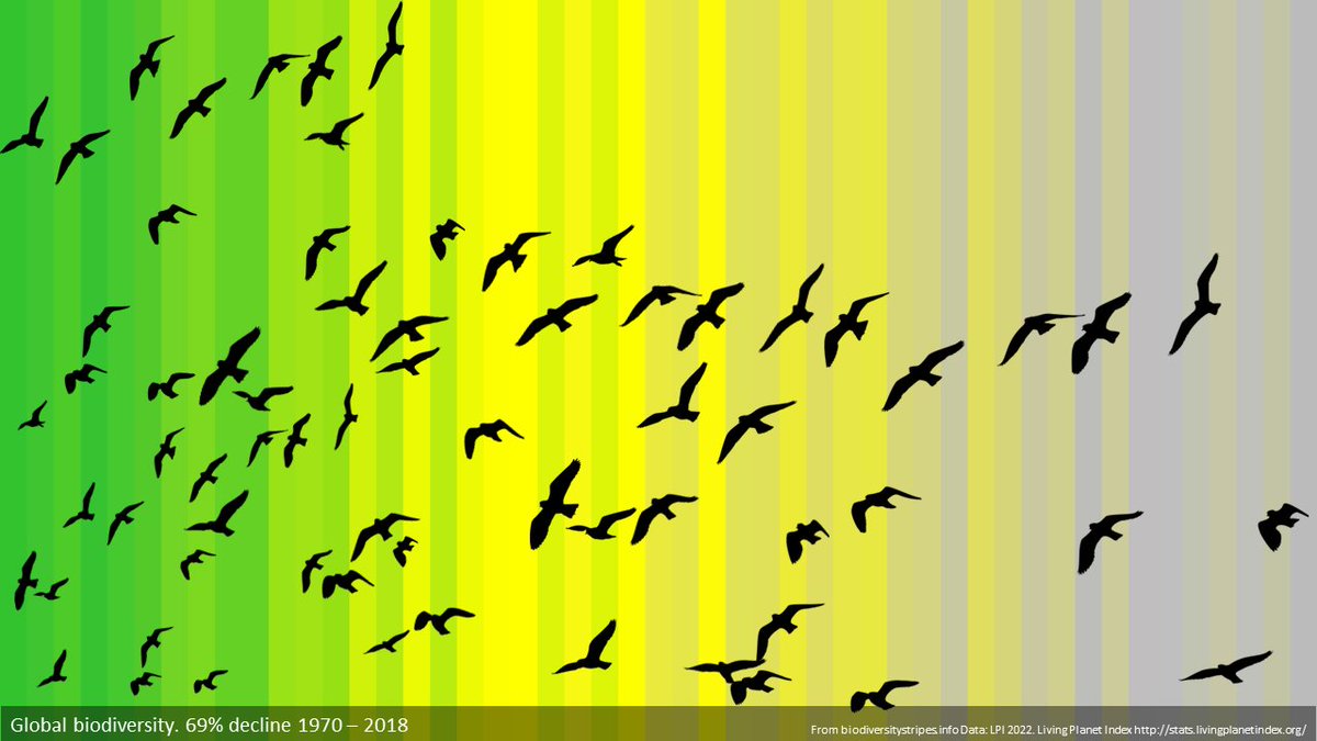 vianabril's tweet photo. La biodiversidad ha visto una disminución promedio del 69% a nivel mundial desde 1970. Las cifras para América Latina llegan a un 94%. https://t.co/3fUWzUd3Gb 🐸🐦‍⬛🦋🐢🐍🦎🐊🦈🐬🦜🐯 https://t.co/5JIQrBEzqR