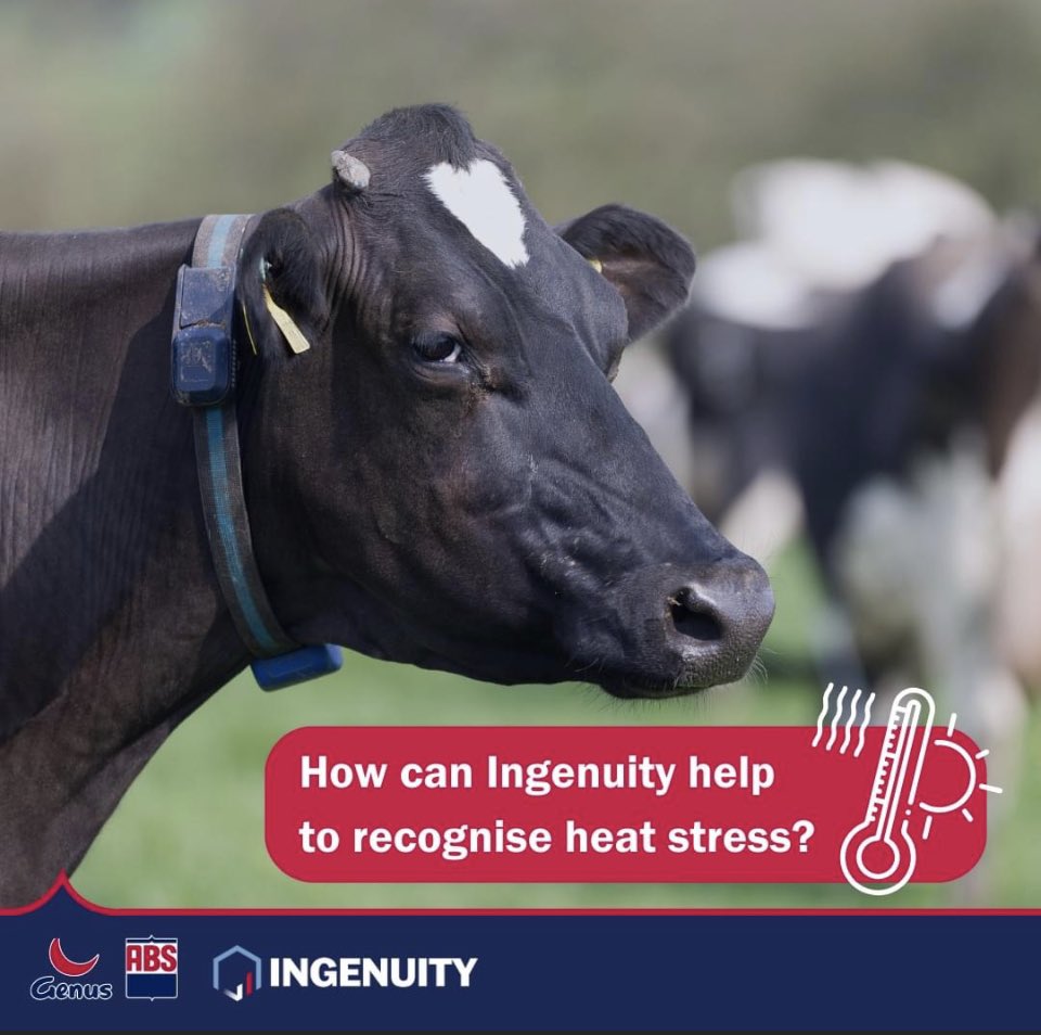 mooscowsmilk's tweet photo. https://t.co/iYkXpsHEWl 

For anyone interested in technology for heat detection/rumination/heat stress and lots more 
#genusabs
#ingenuity https://t.co/sLELNVFWqb