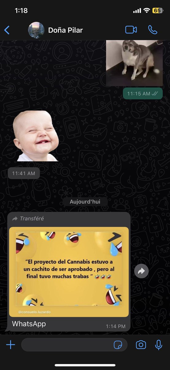 Hugo Mateo. tweet media
