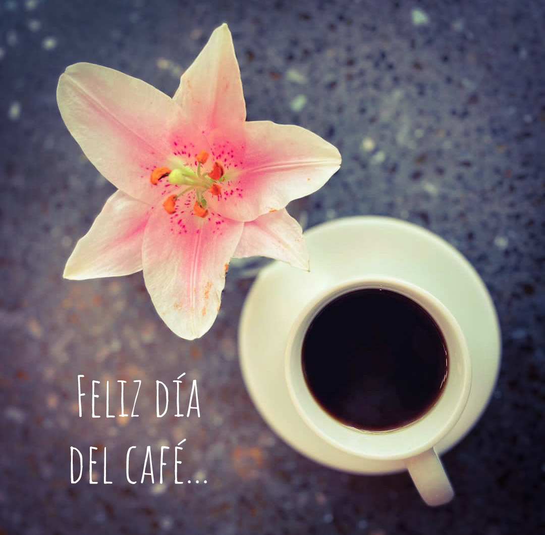 El 27 de junio de cada año se celebra en Colombia el Día Nacional del Café, fecha que coincide con la fundación de la Federación Nacional de Cafeteros en el año 1.927

El café es el producto insignia de Colombia ante el mundo.
