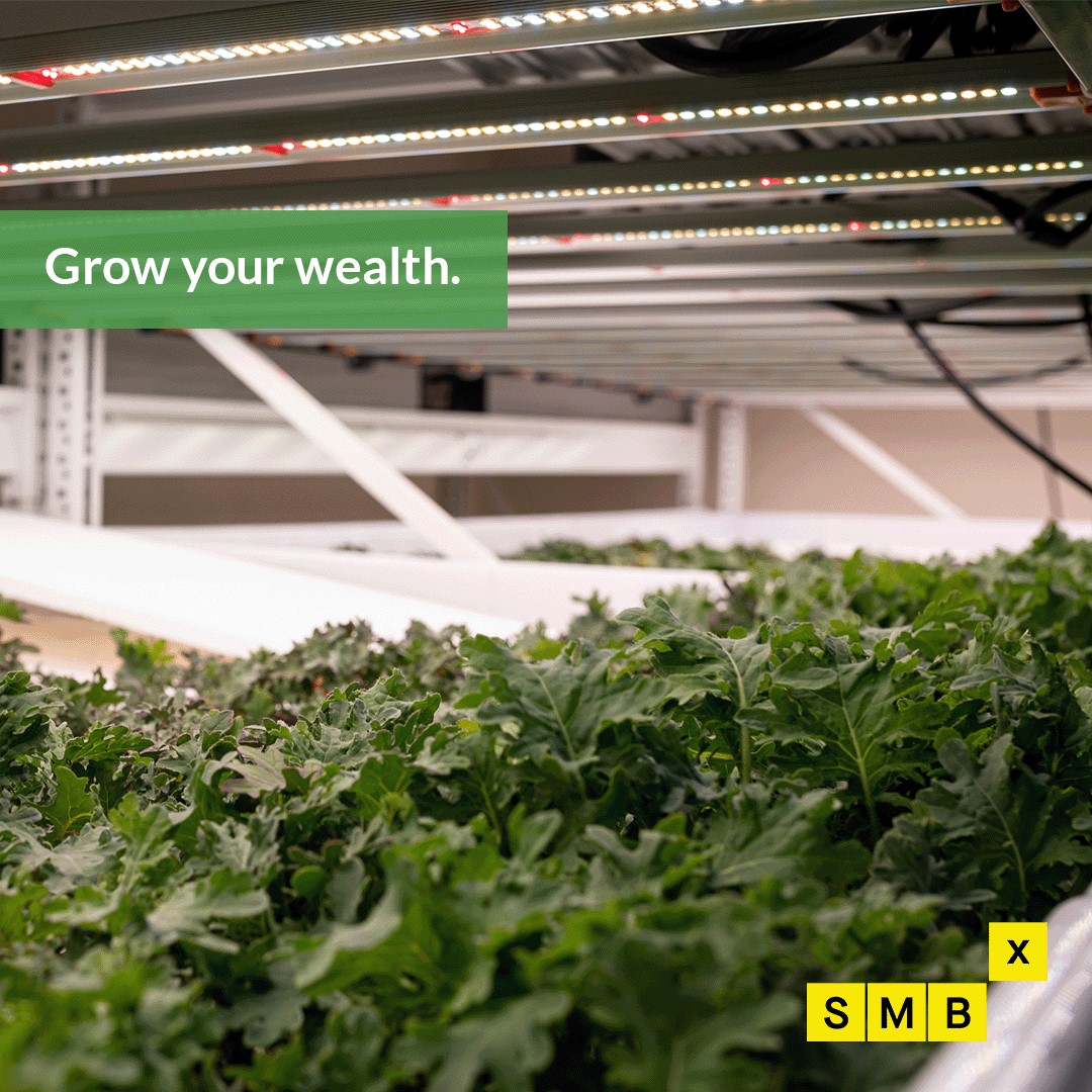 Geogreens (@geoponicag) on Twitter photo 