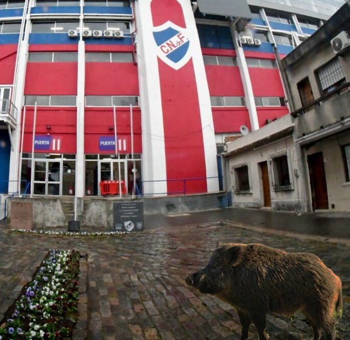 Che que rara está la puerta del GPC