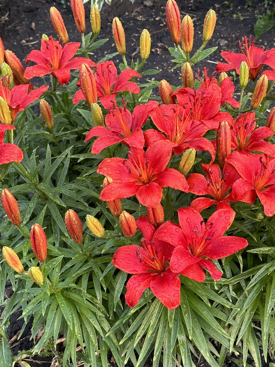 Christina Sawisky 🧡 tweet media