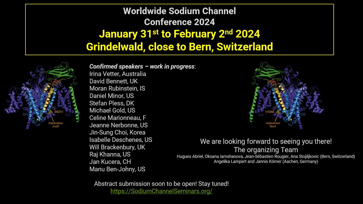 Today was the last webinar of our series. It was a great success. Huge thank you to all speakers. 
In 2024, we will have an on-site conference in #Grindelwald, Switzerland. Contact us if you'd like to present your latest data! #SodiumChannels #IonChannels
sodiumchannelseminars.org/Sodium-Channel…