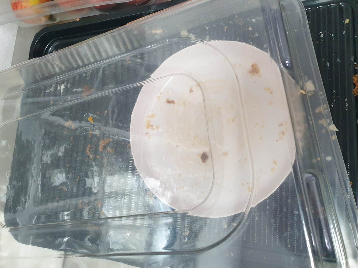 Thinking the free food offer was a massive hit this evening. 

#NoCakeForSensei