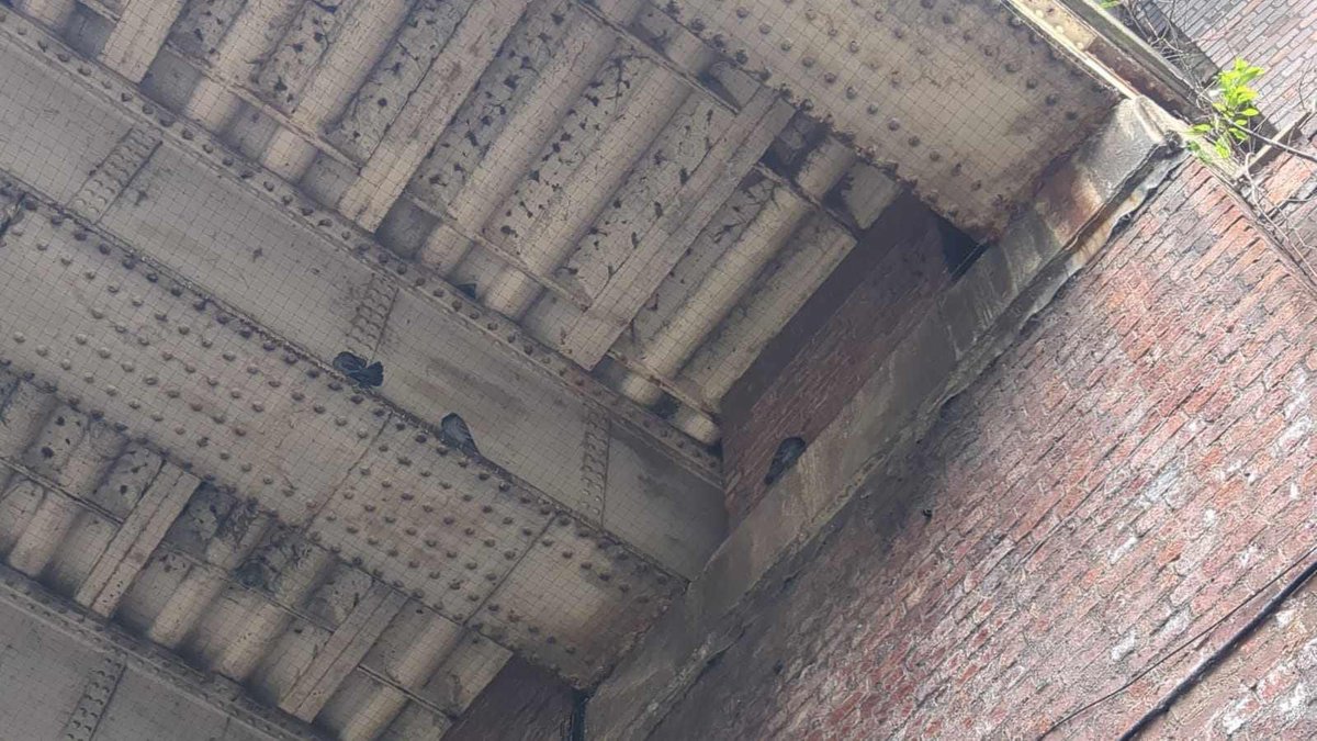 MHL_123's tweet photo. @networkrail looks like birds are trapped behind the netting erected last night. This is Store Street, Manchester Piccadilly Train Station. Could you look into this please? https://t.co/5f5TgDurV0