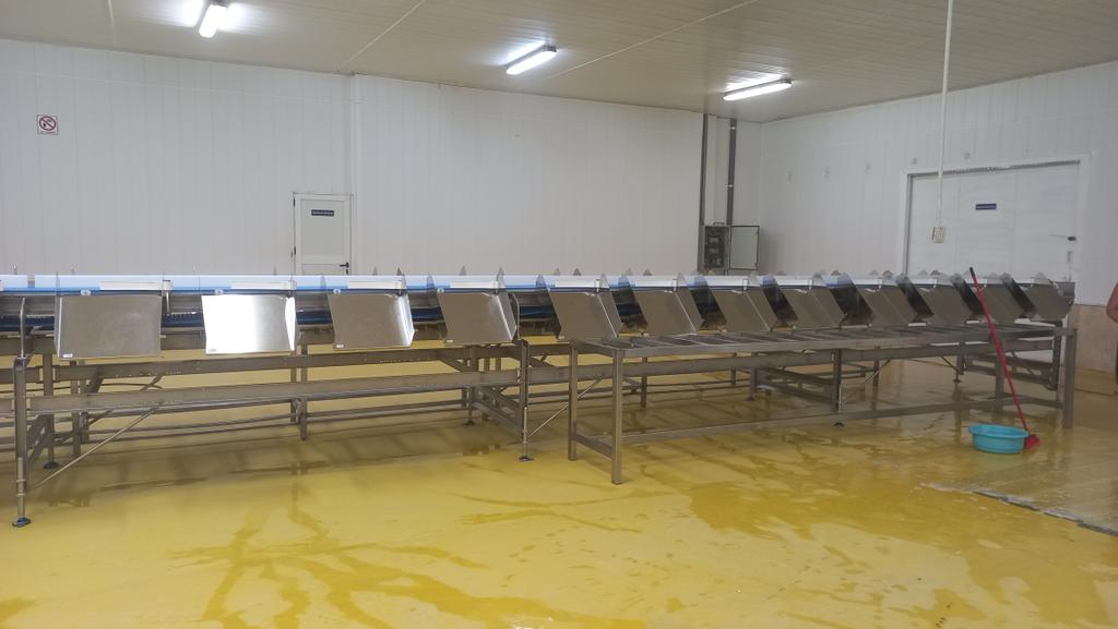 Dejando listo el equipamiento tecnológico q garantiza el proceso de la langosta, la <a href="/EEpicol/">Empresa Pesquera Industrial de la Coloma-EPICOL</a> ultima detalles para el levante de veda el próximo 1ro de julio. <a href="/GrupoPesquero/">Grupo Empresarial de la Industria Pesquera</a>. #PescaxCuba 
#CubaViveYTrabaja