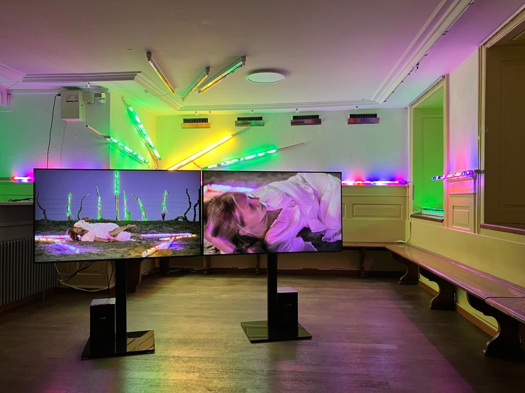 StapletonAine's tweet photo. 'Somewhere in the Body' is looking great on tour 🤩 Catch it until July 2nd at the historic Restaurant Hornegg in Zurich, just a few minutes from Lucia Joyce's old homes.
🎟️ https://t.co/PaXEuwquD6

Supported by @culture_ireland &amp; @IrlEmbBerne.
SITB is funded by @artscouncil_ie. https://t.co/aiVYtMUihU